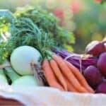 Healthy Eating Habits For Adults